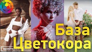 Основы Цветокоррекции. Структура Тонировок и любой обработки фото. Цветокоррекция в Lightroom.