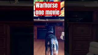 #rottweiler  #puppy  movie time ️ #youtubeshorts  #subscribe  #funny  #shorts $$$