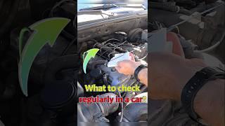 ️5 things you MUST check regularly in your car️ #carmechanic #mechanicsecrets #diy #carrepairtips