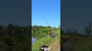 Насадка для ловлі коропа на поплавок. Рибалка з берега. #fishing #яворович