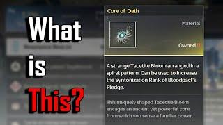 6 Secret Updates in Wuthering Waves 2.4 That Kuro Games Hides From You