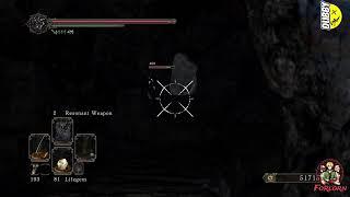 Dark Souls 2 all bosses no death