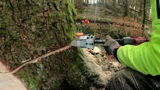 Akumulátorový klin na ťažbu dreva // Akku Fällkeil // Felling wedge 