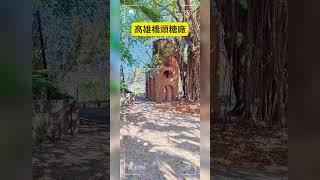 高雄橋頭糖廠#高雄 #旅行