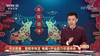 《中国三农报道》 20210214|CCTV农业