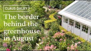 The border behind the greenhouse in August