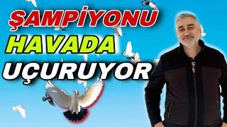 DEDE’DEN TORUNA DEVAM EDEN FİLO GÜVERCİN SEVDASI - HAKAN TUNCER