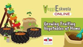 Episode 5: Growing Fruiting Vegetables at Home