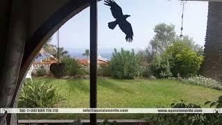 Casa en La Victoria de Acentejo Tenerife 280.000 EUR