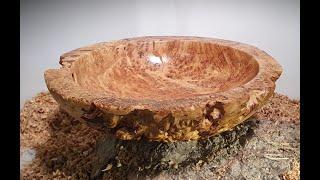 Woodturning - English Oak Burr Bowl