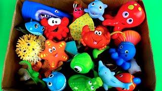 Small World Fun Facts with Sea Animal Toys found in a Box