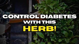 The #1 Best Herb For Diabetes And Here’s How To Use IT