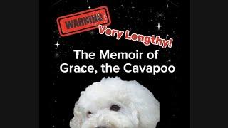 The Memoir of Grace, the Cavapoo ( Warning : Very Lengthy )