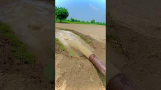 Agriculture solar pump 25 hp motor #shortsfeed 4 inch water pump #aerator #cropper