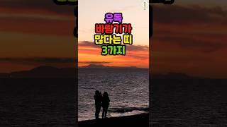 유독 바람기가 많은 띠 3가지 #띠별운세 #운세
