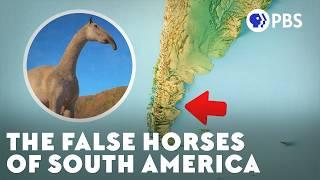 The Mystery of South America's False Horses