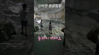 동굴탐험중에 나타난 괴물  심장마비조심 ㄷㄷ