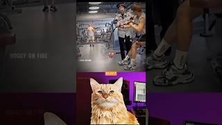 he_wanna_try_it__#cat_#memes_#funny_#trending