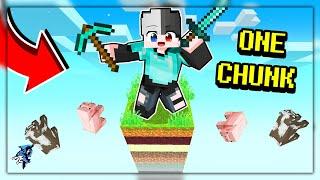 Minecraft Nhưng Tôi Chỉ Sinh Tồn Trong 1 Chunk