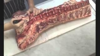 Meat Cuts Tutorial: Beef Forequarter, Tenderloin, Rump, T Bone, Sirloin by The Meat Boutique