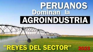 7 EMPRESAS AGROINDUSTRIALES, que hacen del Perú  un país exportador de Clase Mundial