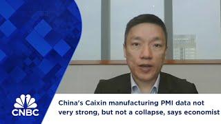 China's Caixin manufacturing PMI data not very strong, but not a collapse, says economist