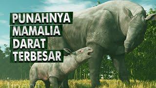 Kisah Kehidupan Mamalia Darat Terbesar di Bumi | Paraceratherium