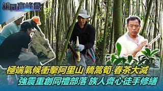 極端氣候衝擊阿里山 轎篙竹林枯黃 春茶剩3成｜台灣森林覆蓋率達6成 森林碳匯成暖化救命丹｜0403花蓮強震重創同禮部落 族人齊心修繕 髮型師捐款義剪送愛｜新聞高峰會｜陳雅琳｜華視新聞 20240602