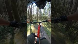 Almost hit/hug the tree! #mtb #pinoymtb #flowtrail #mtbph #mountainbiketrail #rideitmtbadventures