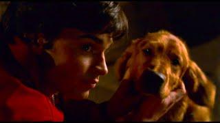 Smallville || Krypto 4x14 (Clois) || Lois Finds Clark a Stray Super Dog [HD]