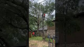 Perfect Run! Team work =Dream Work