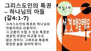 성경배울레오 | 새삶교회 | 백금현 목사 I 그리스도인의 특권, 하나님의 아들