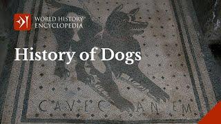 The Long History of Dogs in Honour of International Dog Day