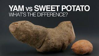Yams vs Sweet Potatoes: What's the Difference?