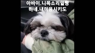 꼬질꼬질심술난토리