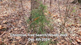 Christmas Tree Woods Walk Video Dec 4th 2024 #christmas #christmastree #christmasvideos #videos