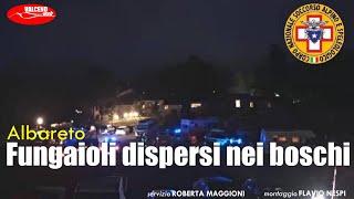 Fungaioli dispersi nei boschi di Albareto