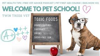 WELCOME TO THE PET CLASSROOM:  PET HEALTH TIPS│ PODCAST │ ER PROCEDURES AND MORE!