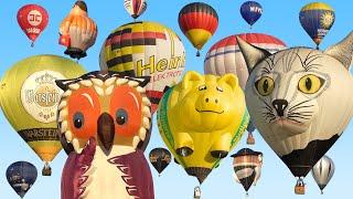 Hot Air Balloon Mass Ascent | Balloon Festival Barnstorf 2019