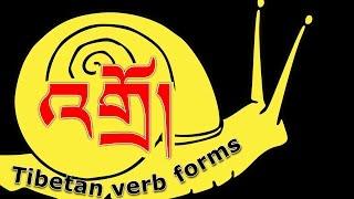 འགྲོ། (‘gro): An example of how to use the correct forms of the verb in Tibetan grammar