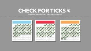 Tick Free Summer: How to Check for Ticks