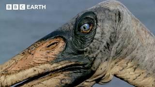 Iconic Dinosaur Moments from Walking With Dinosaurs (1999) | BBC Earth