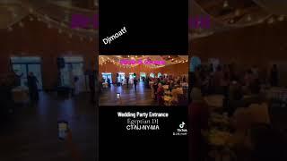 Best Egyptian Wedding Entrance / DJ MO ATF / Egyptian DJ In CT, NJ, NY & MA / #egyptiandj /Arabic DJ