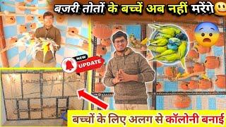 Reason Of Death Budgies Parrot Salf Baby || मटकी से निकलने वाले बच्चों के लिए नई कॉलोनी तैयार की 