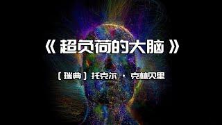 《超负荷的大脑》信息过载与工作记忆的极限