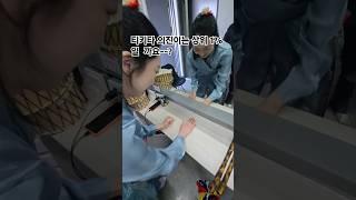 상위1% 두뇌훈련!  타포스 의진,이삭이는 과연 잘 할까요?