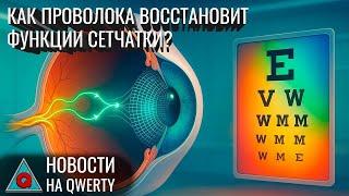 Сетка для сетчатки. Противораковый сахар. Трапеза зауропода. Клешни уховёрток. Новости QWERTY №343