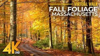 4K Scenic Fall Foliage Colors of Massachusetts Forest - Relaxing Walk on Keystone Arch Bridges Trail