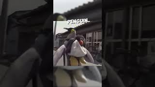 This independent penguin buys his own fish ️ #shorts