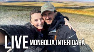 LIVE La plimbare prin Hohhot, Mongolia Interioară cu Ordinar Extraordinar